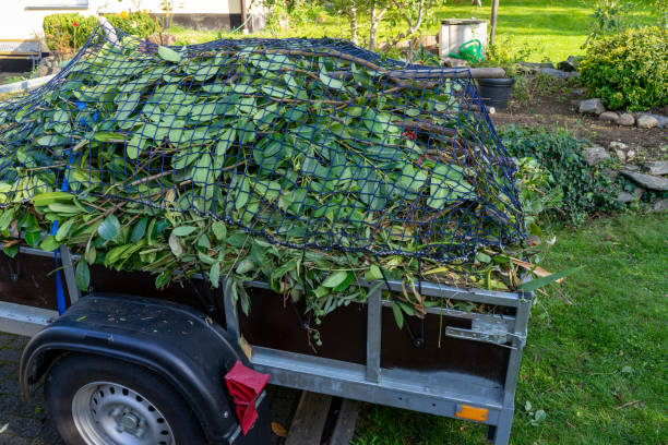 Recycling Services for Junk in Doe Valley, KY